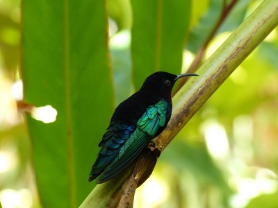 P1160739