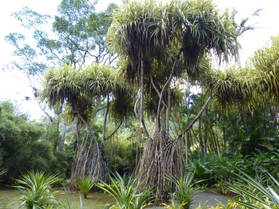 P1160785