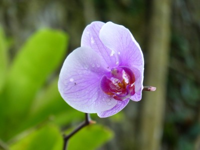 P1160821