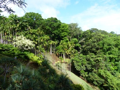 Jardin de Balata