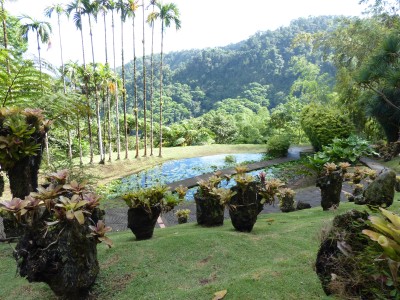 Jardin de Balata