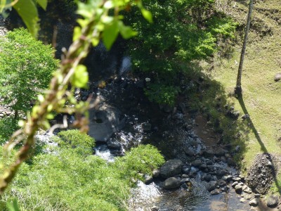 P1160945