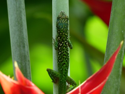 P1160975