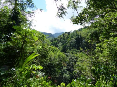 P1160983
