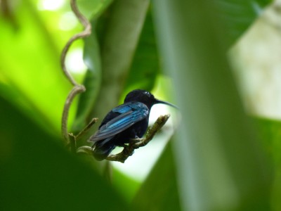 P1160995