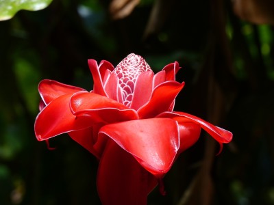 P1170004