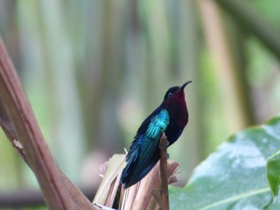 P1170027