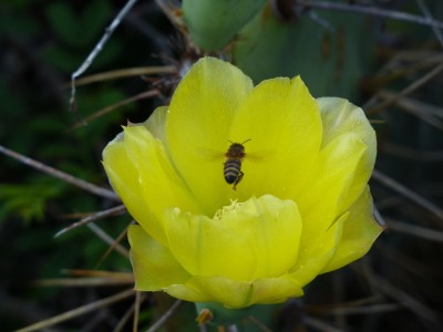 P1170139
