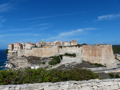 Bonifacio