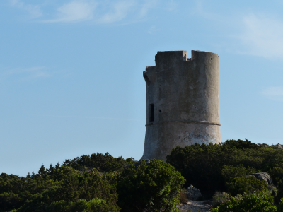 P1180821