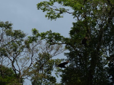 P1200202