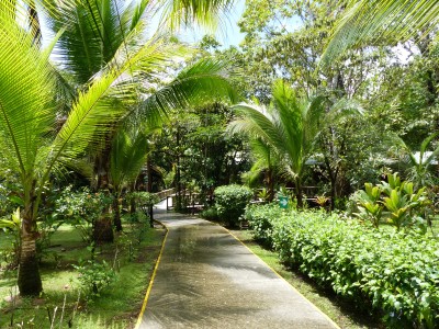 P1200209