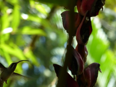 P1200215