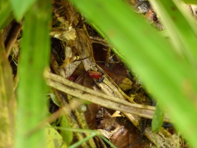 P1200227