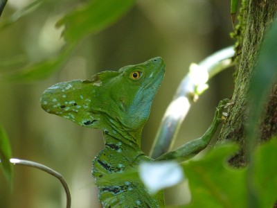 P1200240