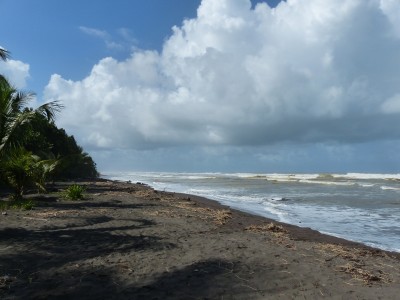 P1200250