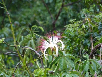 P1200318