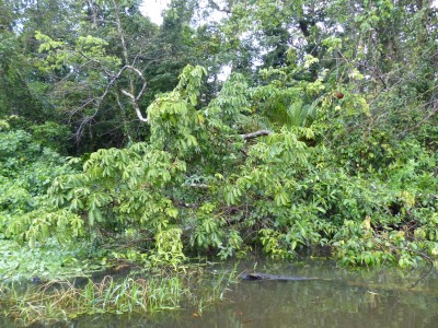 P1200330
