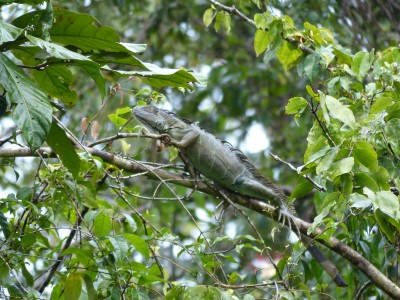 P1200358