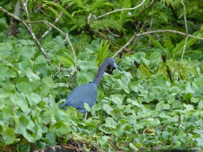 P1200368