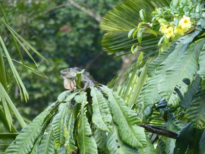 P1200412