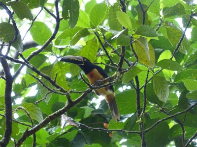 P1200460