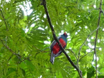P1200476