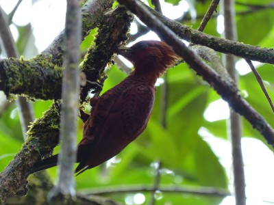 P1200521