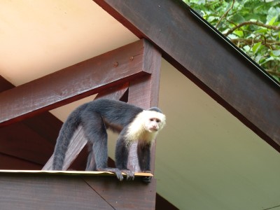 P1200666