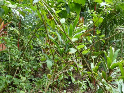 P1200722
