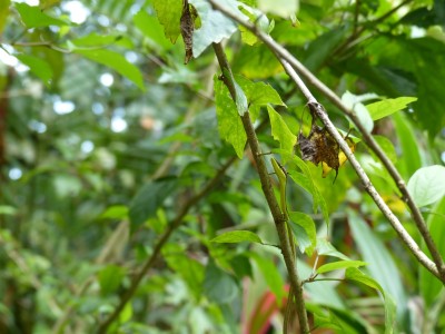P1200726