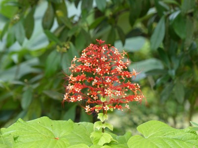 P1200781