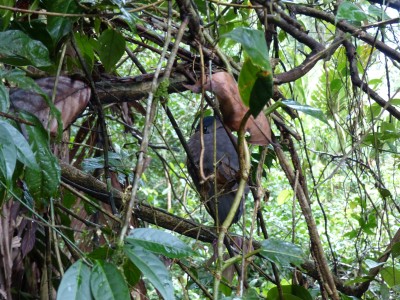 P1210008