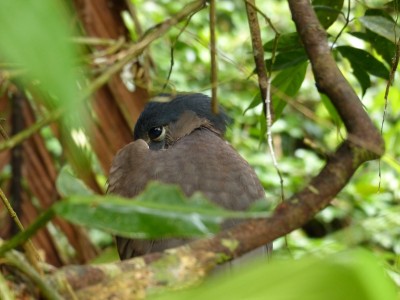 P1210016