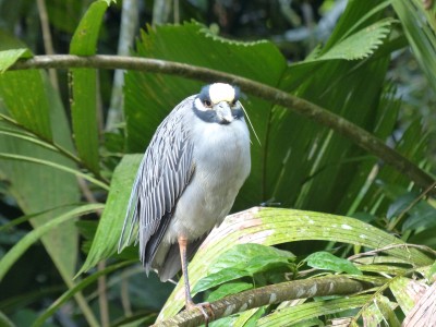 P1210034