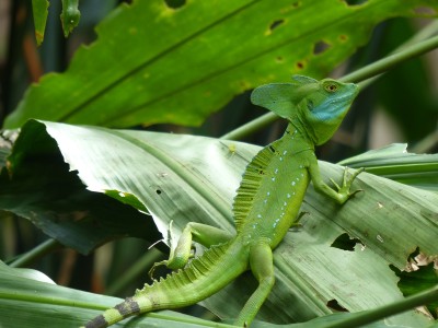 P1210110