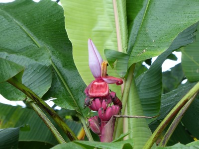 P1210301