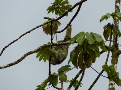 P1210306