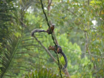 P1210367