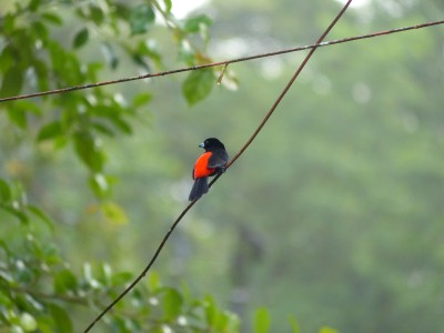 P1210383