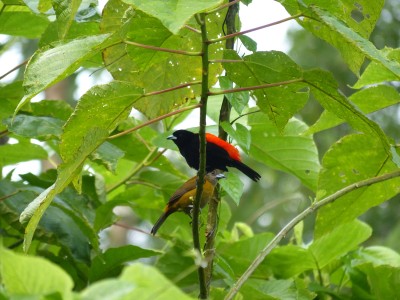 P1210389