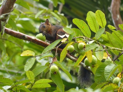 P1210419