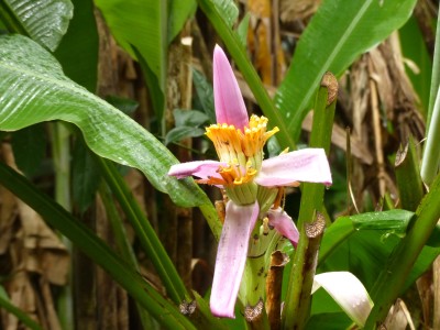 P1210495