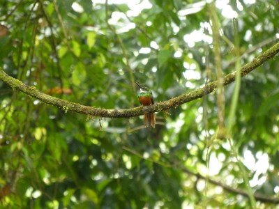 P1210512