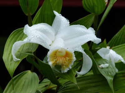 P1210558