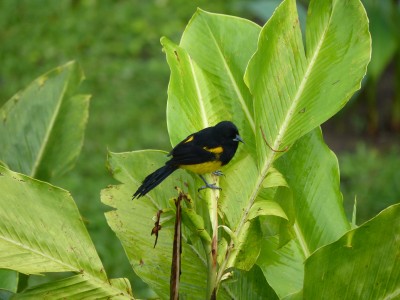 P1210734