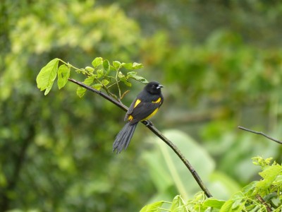 P1210804