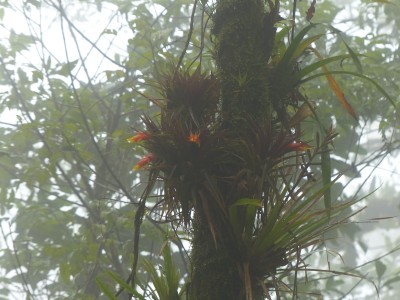 P1210851