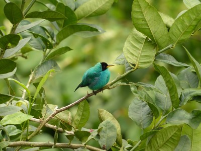 P1220052