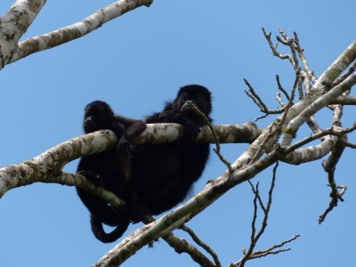 P1220199